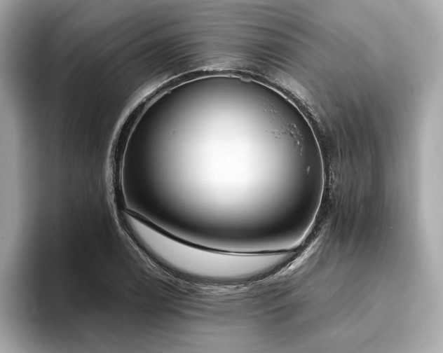 X0000093751122200710161152