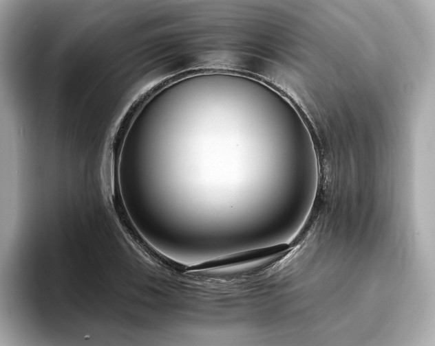 X0000093751123200710161152