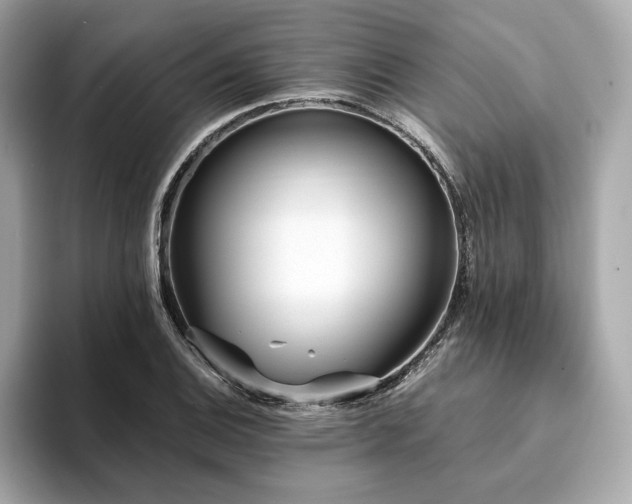 X0000093751124200710161152