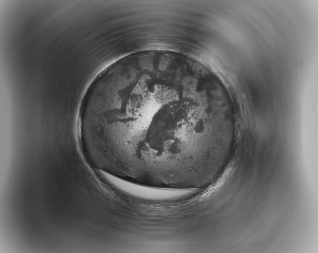 X0000093751125200710161152