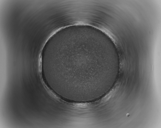 X0000093751126200710161152