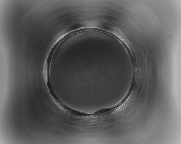 X0000093751127200710161152