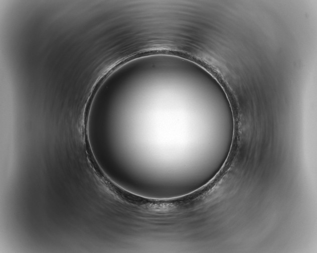 X0000093751129200710161152