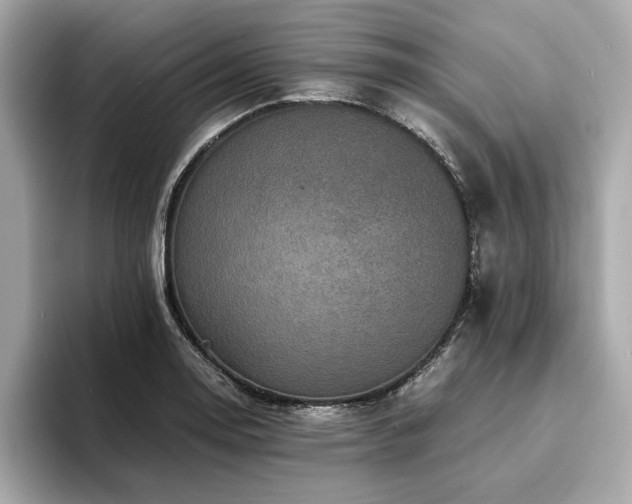 X0000093751130200710161152