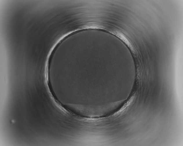 X0000093751132200710161152