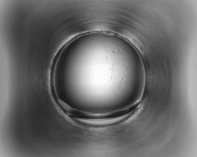 X0000093751134200710161152