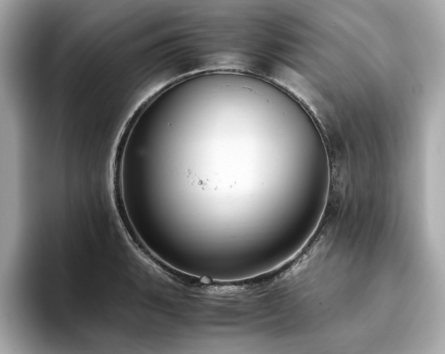 X0000093751135200710161152