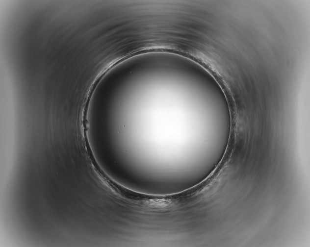 X0000093751137200710161152