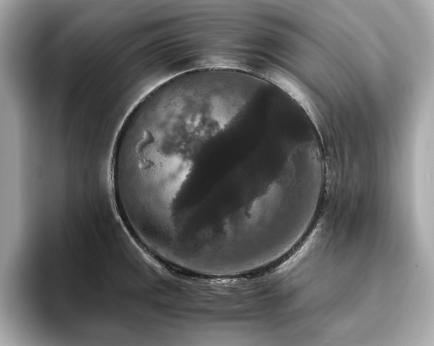 X0000093751141200710161152