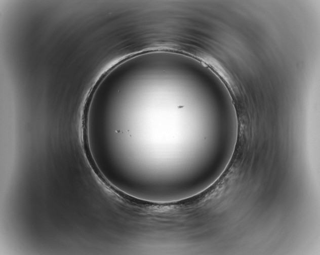 X0000093751143200710161152