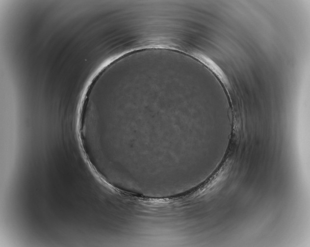 X0000093751144200710161152