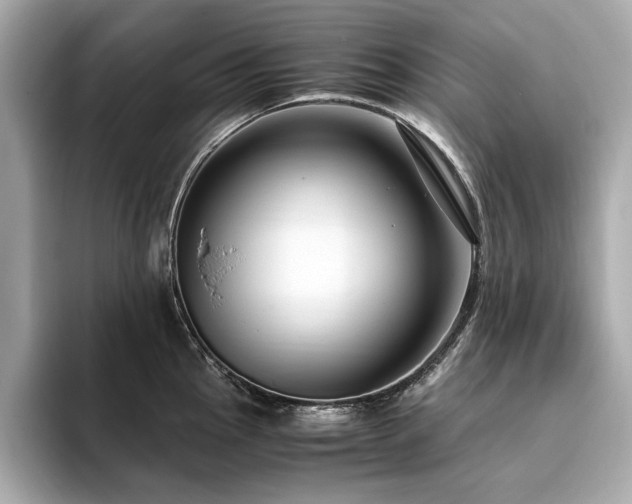 X0000093751145200710161152