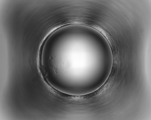 X0000093751147200710161152