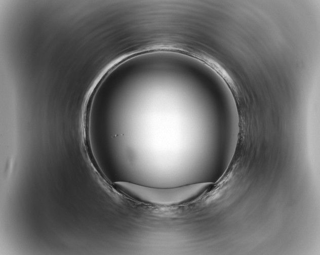 X0000093751148200710161152