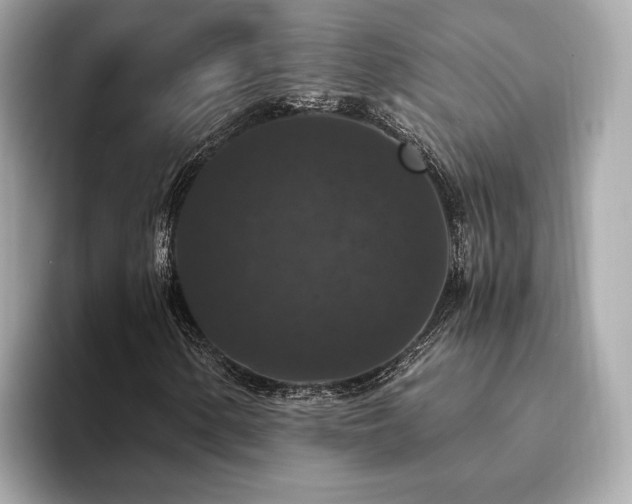 X0000093751154200710161152