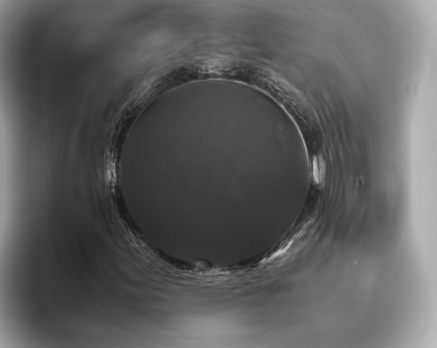 X0000093751155200710161152
