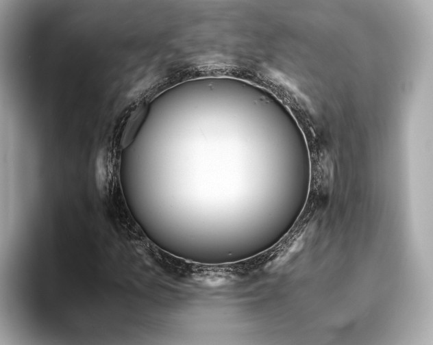X0000093751157200710161152