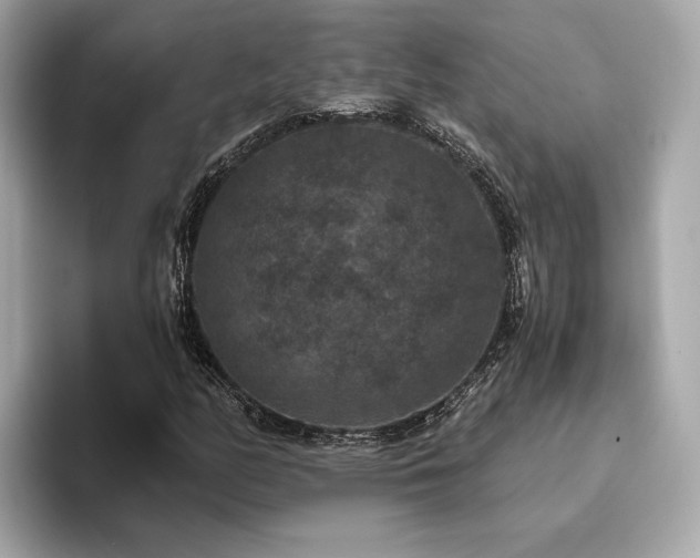 X0000093751158200710161152