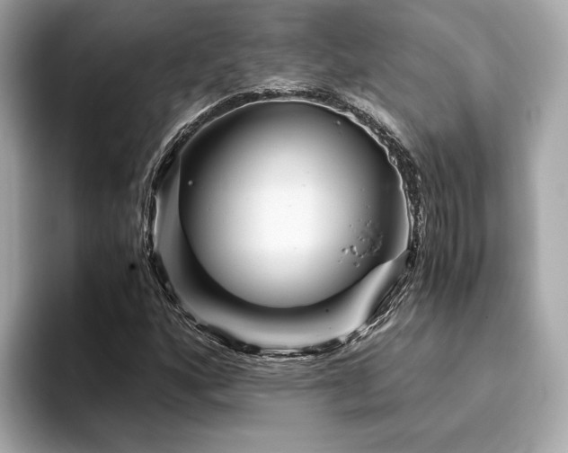 X0000093751160200710161152