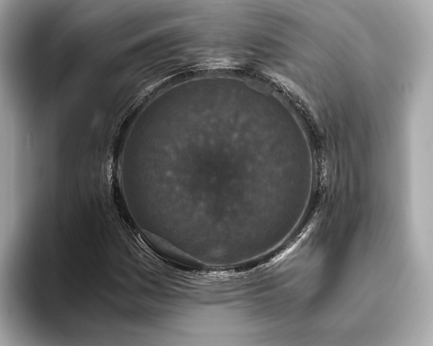 X0000093751161200710161152