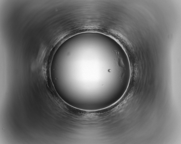 X0000093751162200710161152
