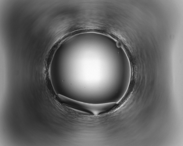 X0000093751163200710161152