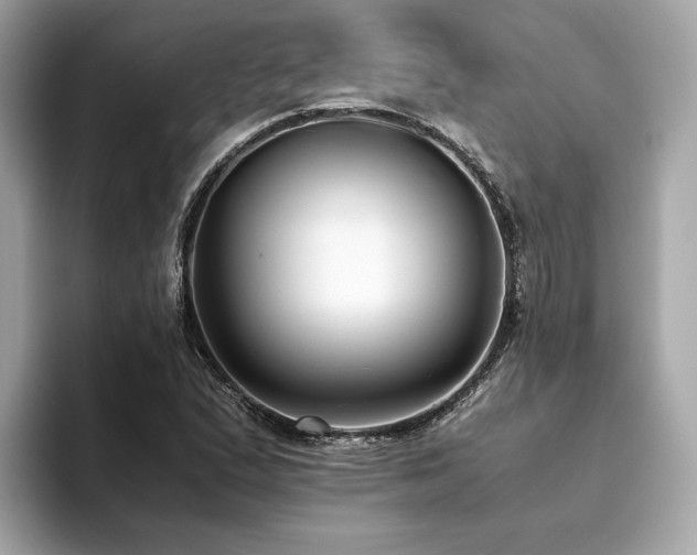 X0000093751167200710161152