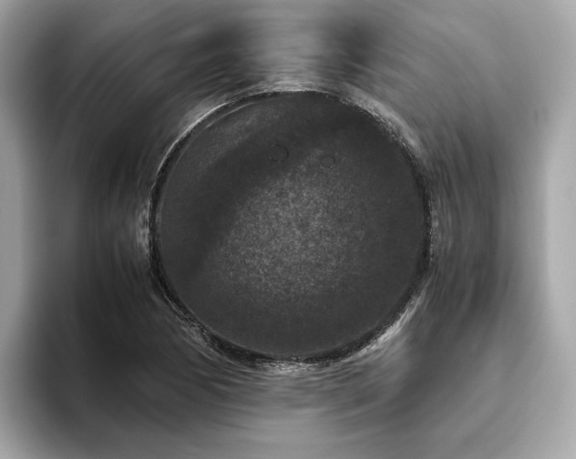 X0000093751170200710161152