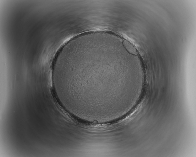 X0000093751171200710161152