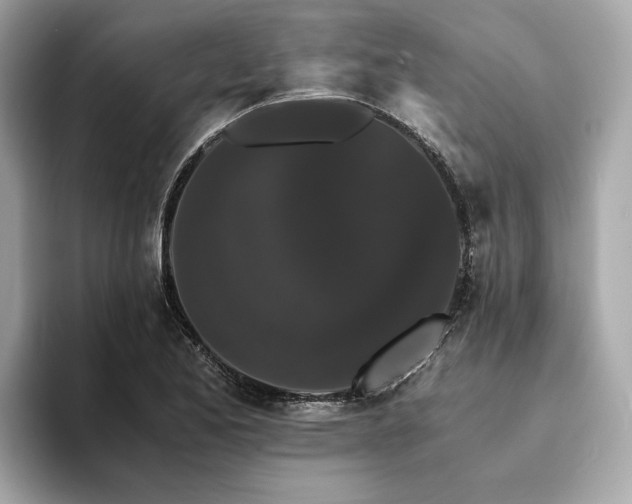 X0000093751173200710161152