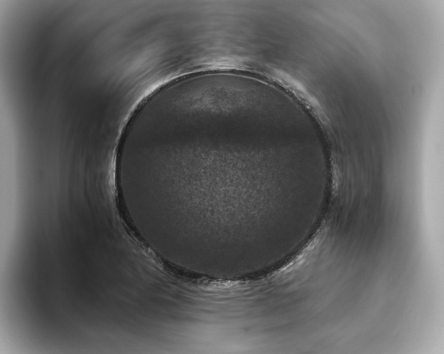 X0000093751174200710161152