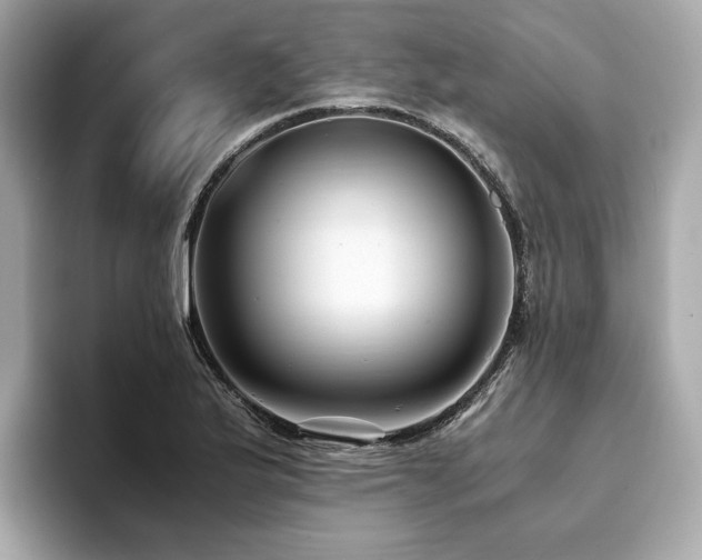 X0000093751175200710161152