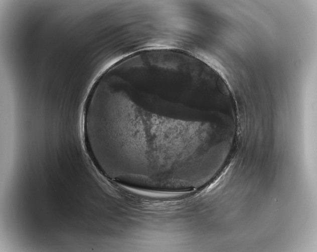 X0000093751179200710161152