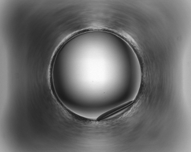 X0000093751183200710161152