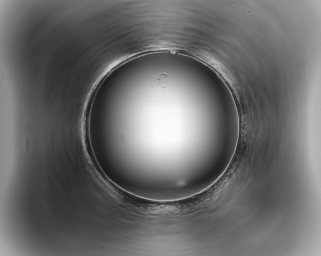 X0000093751187200710161152