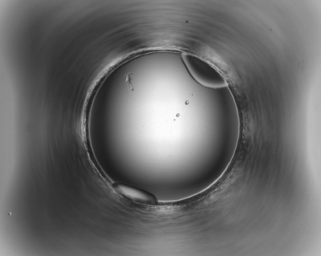 X0000093751188200710161151