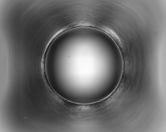 X0000093751190200710161151