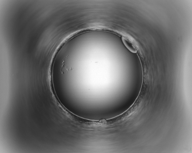 X0000093751191200710161151