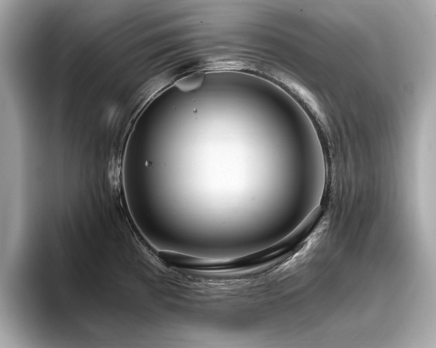 X0000093751193200710161151