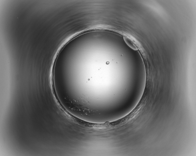X0000093751199200710161151