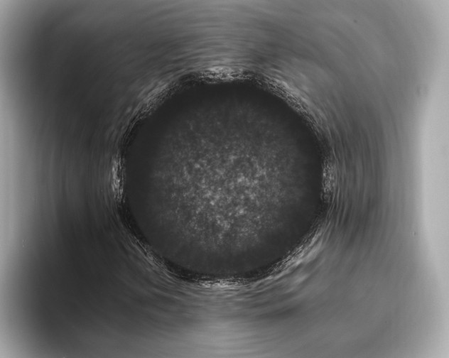 X0000093751202200710161151