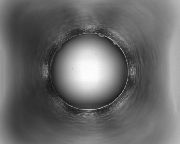 X0000093751204200710161151