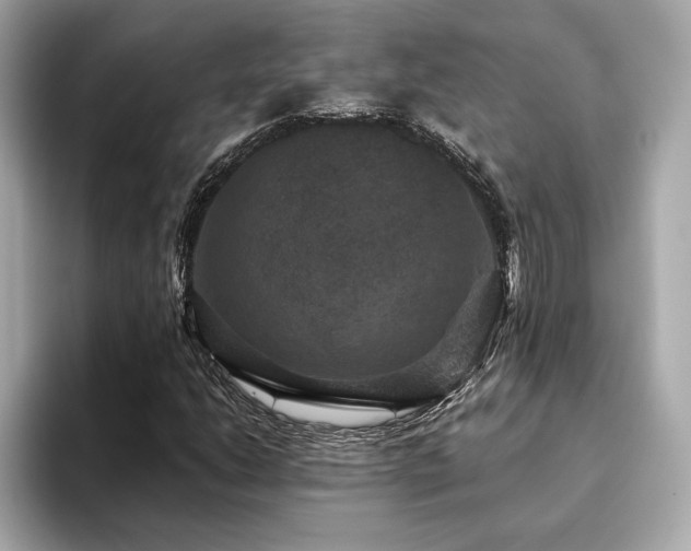 X0000093751206200710161151