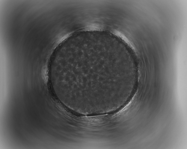X0000093751213200710161151