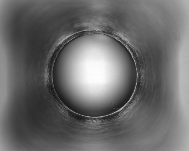 X0000093751215200710161151