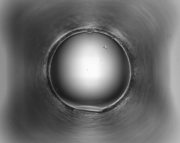 X0000093751216200710161151