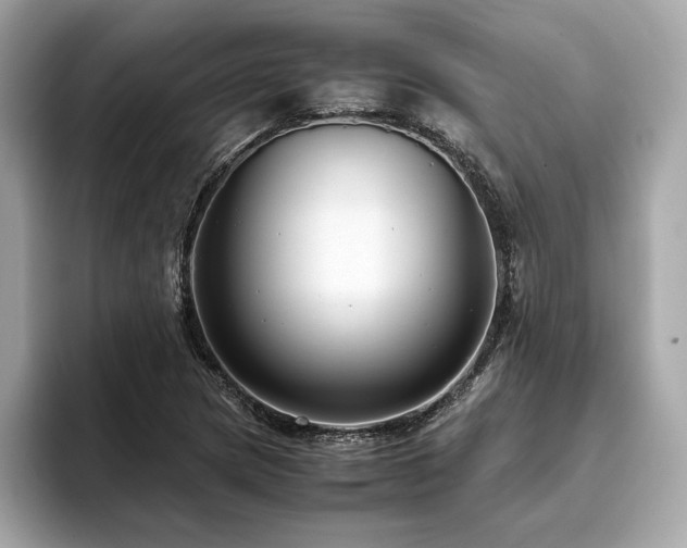 X0000093751217200710161151