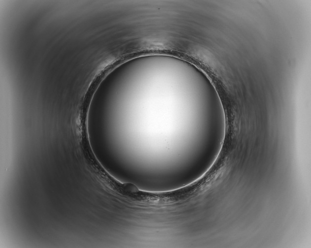X0000093751218200710161151