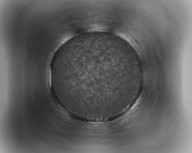 X0000093751219200710161151