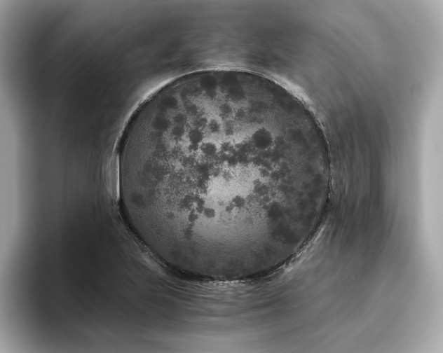 X0000093751223200710161151